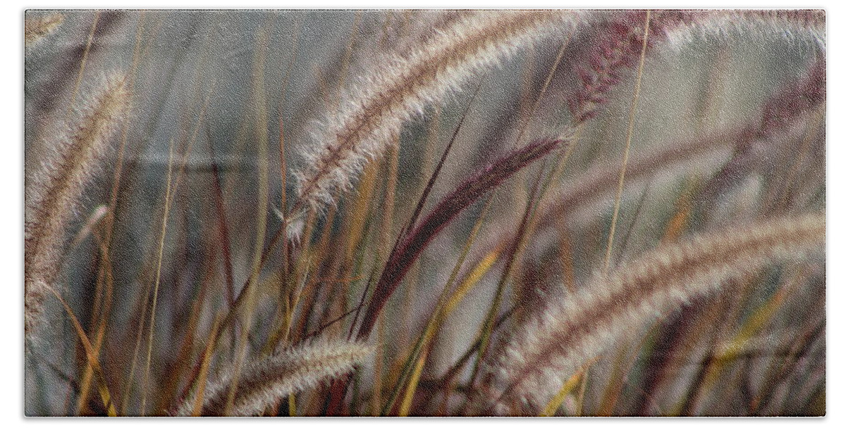 Soft Plumes Beach Towel featuring the photograph Dried Desert Grass Plumes in Honey Brown by Colleen Cornelius