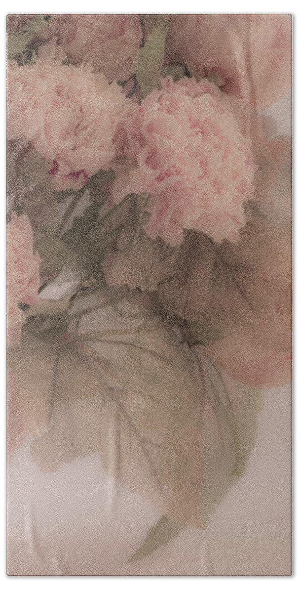 Peonies Beach Towel featuring the photograph Dried Pink Peonies by Sandra Foster