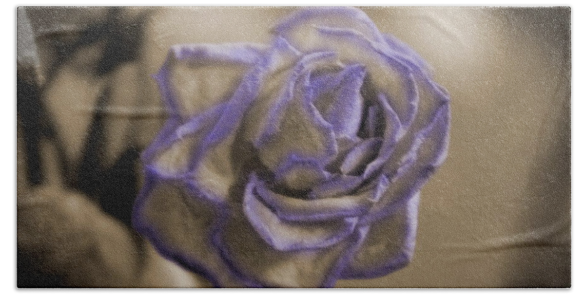 Sepia Beach Towel featuring the photograph Dried Rose in Sienna and Ultra Violet by Colleen Cornelius