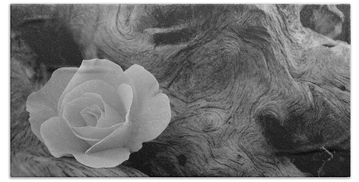 Flower Beach Towel featuring the photograph Driftwood and Roses by Michael Peychich