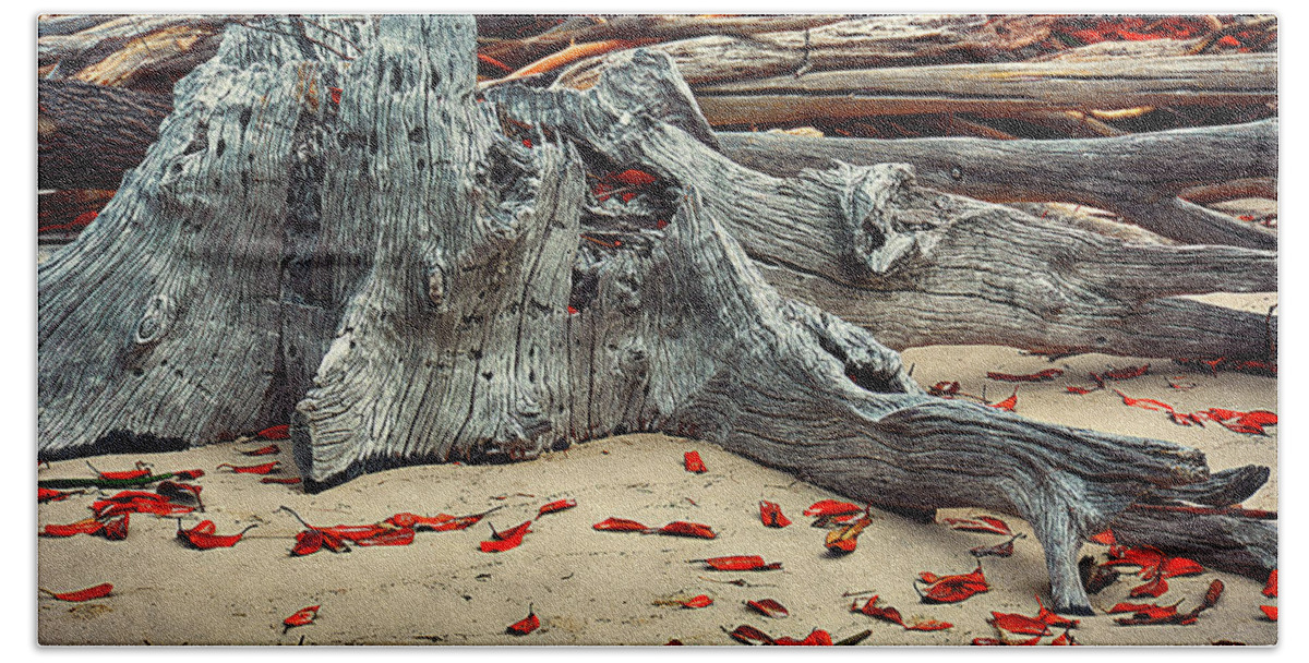 Driftwood Beach Towel featuring the photograph Driftwood IV by Andrei SKY