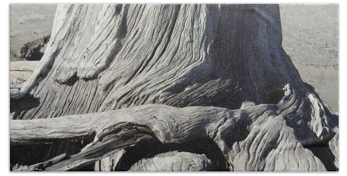 Driftwood Beach Towel featuring the photograph Driftwood Naturals by Jan Gelders