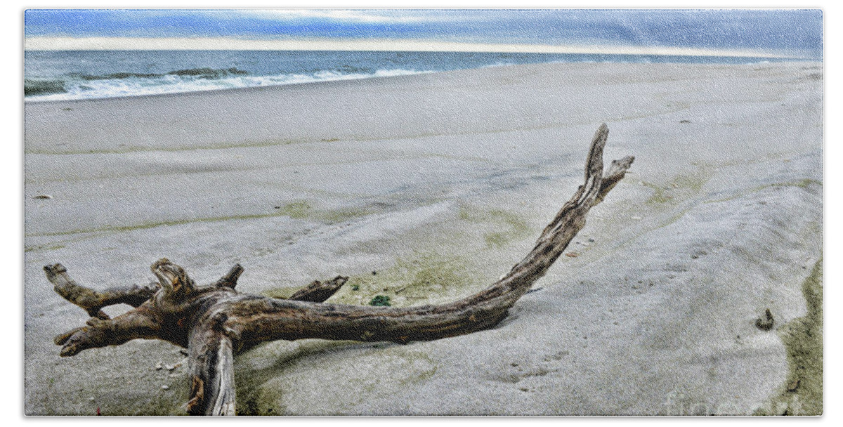 Paul Ward Beach Sheet featuring the photograph Driftwood on the Beach by Paul Ward