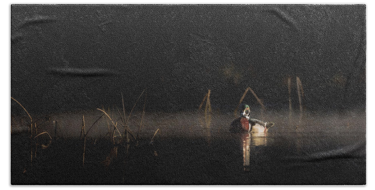 Wood Duck Beach Towel featuring the photograph Duck of the Morning Mist by Bill Wakeley