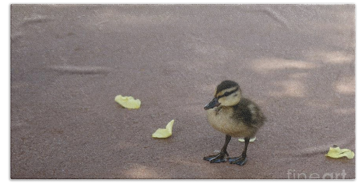Duck Beach Sheet featuring the photograph Duckling by Susan Cliett