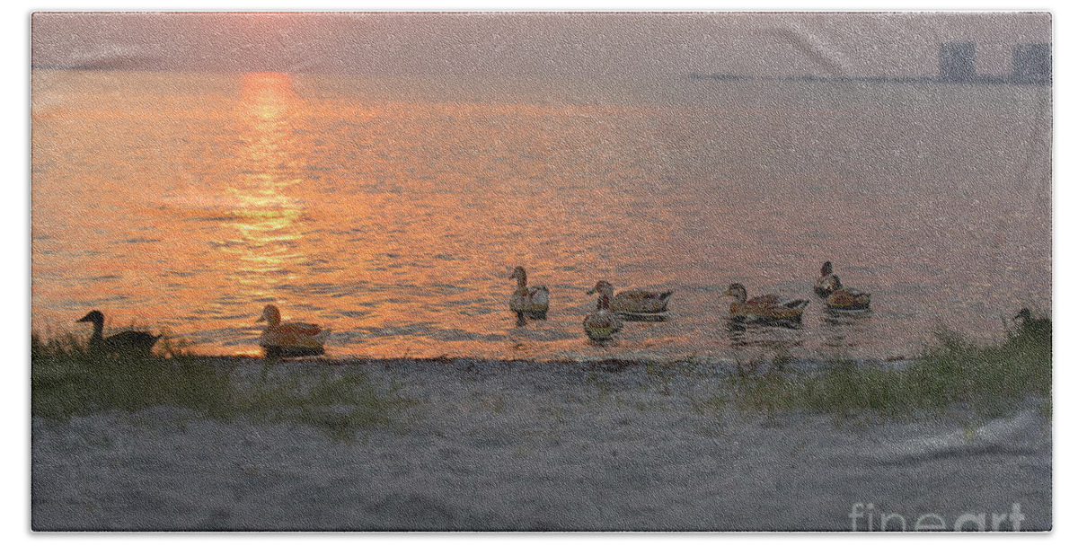 Ducks Beach Sheet featuring the photograph Ducks at Sunrise by Metaphor Photo