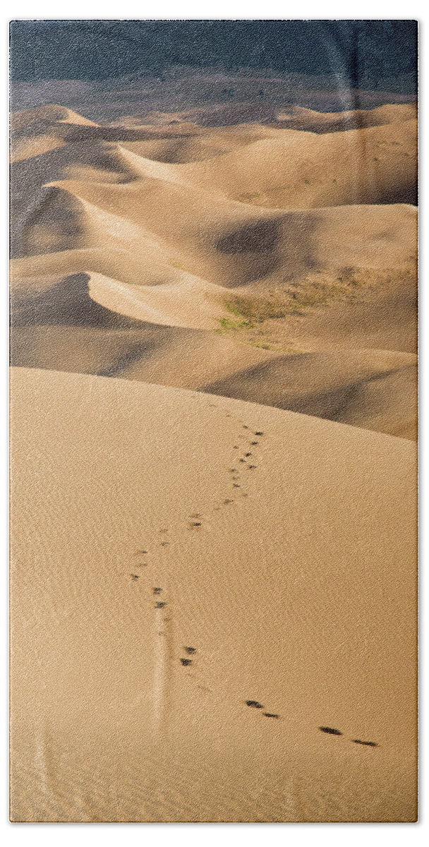 Colorado Beach Towel featuring the photograph Dunefield Footprints by Adam Pender