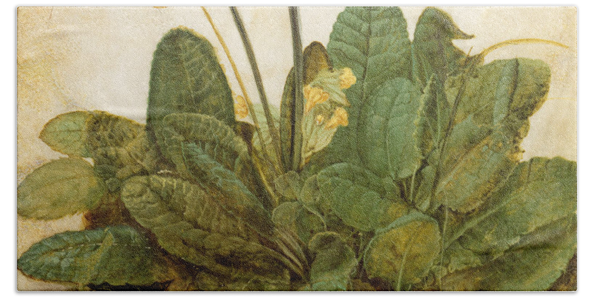15th Century Beach Towel featuring the photograph Durer Tuft Of Cowslips by Granger