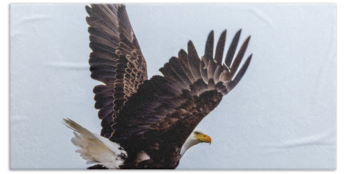 Bald Eagle Beach Sheet featuring the photograph Eagle Taking Flight by Yeates Photography