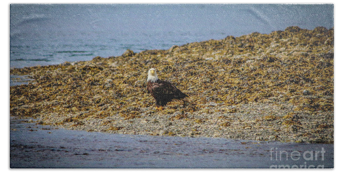 Eagles Beach Towel featuring the photograph Eagles in Sitka Alaska by Veronica Batterson