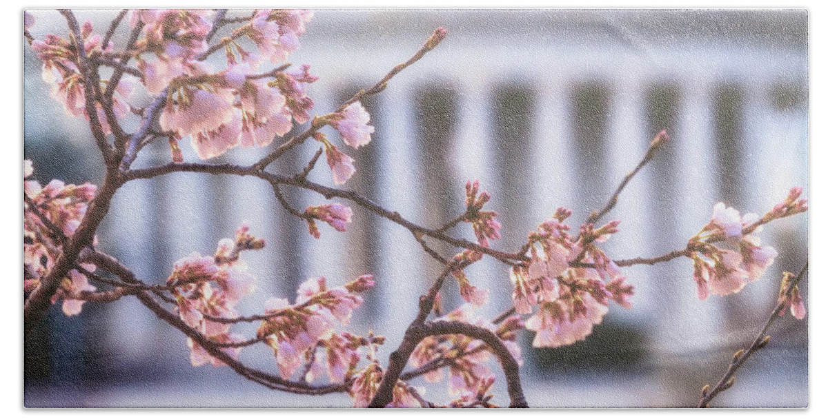 Washington Dc Beach Towel featuring the photograph Early Bloom by Edward Kreis