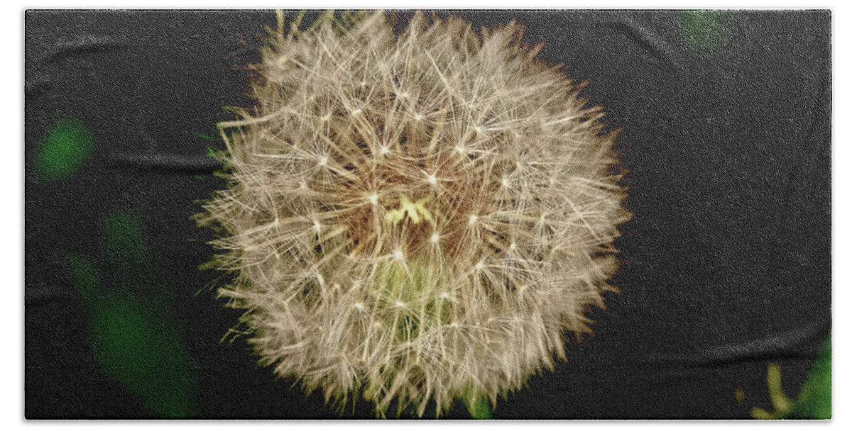 Dandelion Beach Towel featuring the photograph Early in the morning. by Elena Perelman