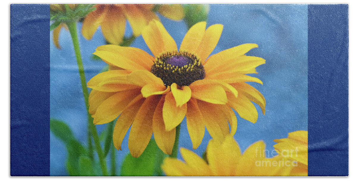Flower Beach Towel featuring the photograph Early Morning Delight by Randy Wood