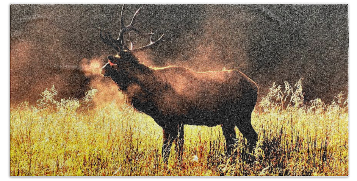 Bull Elk Beach Sheet featuring the photograph Early morning steam by Chuck Brown