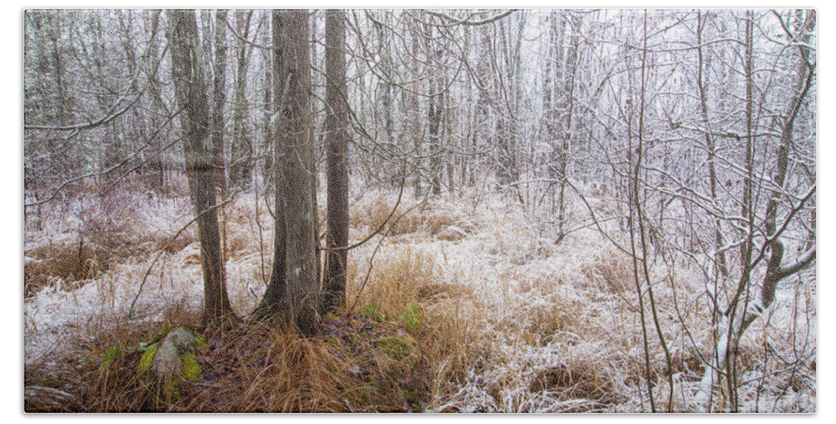 Maine Beach Sheet featuring the photograph Early Snow by Alana Ranney