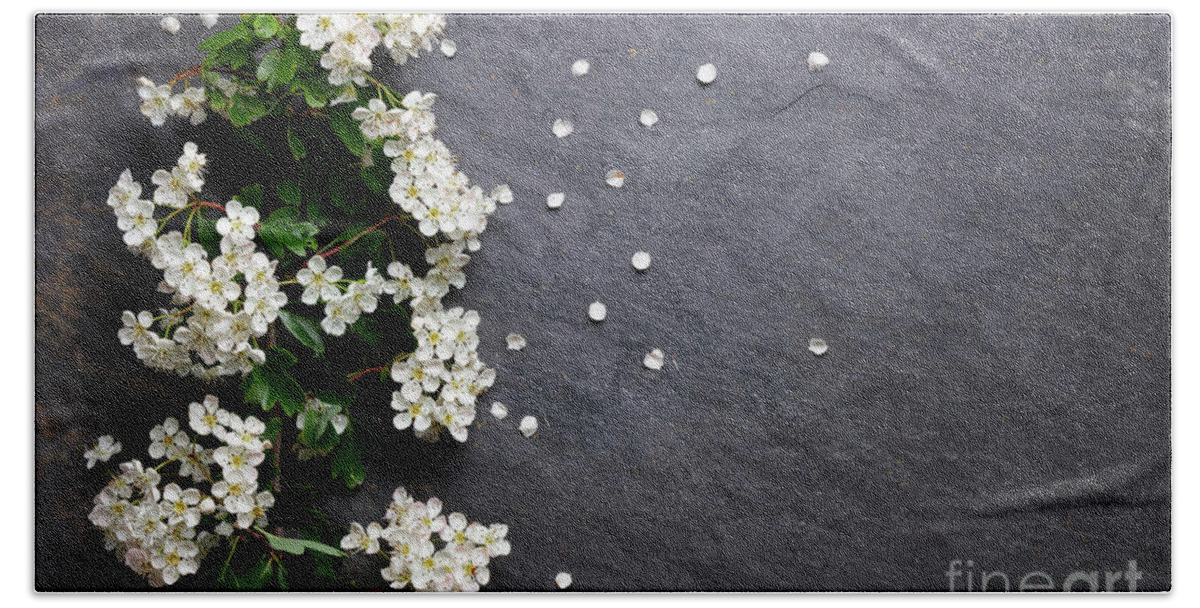 Spring Beach Towel featuring the photograph Early summer white flower blossoms by Nicholas Burningham