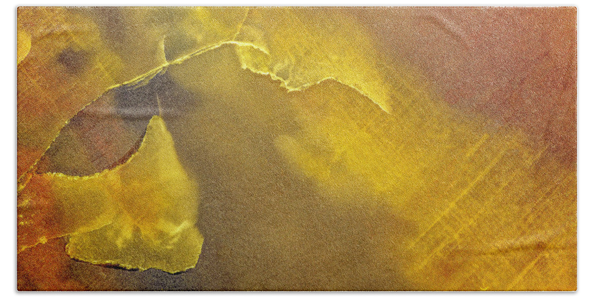 Macro Beach Towel featuring the photograph Earth Portrait 001-120 by David Waldrop
