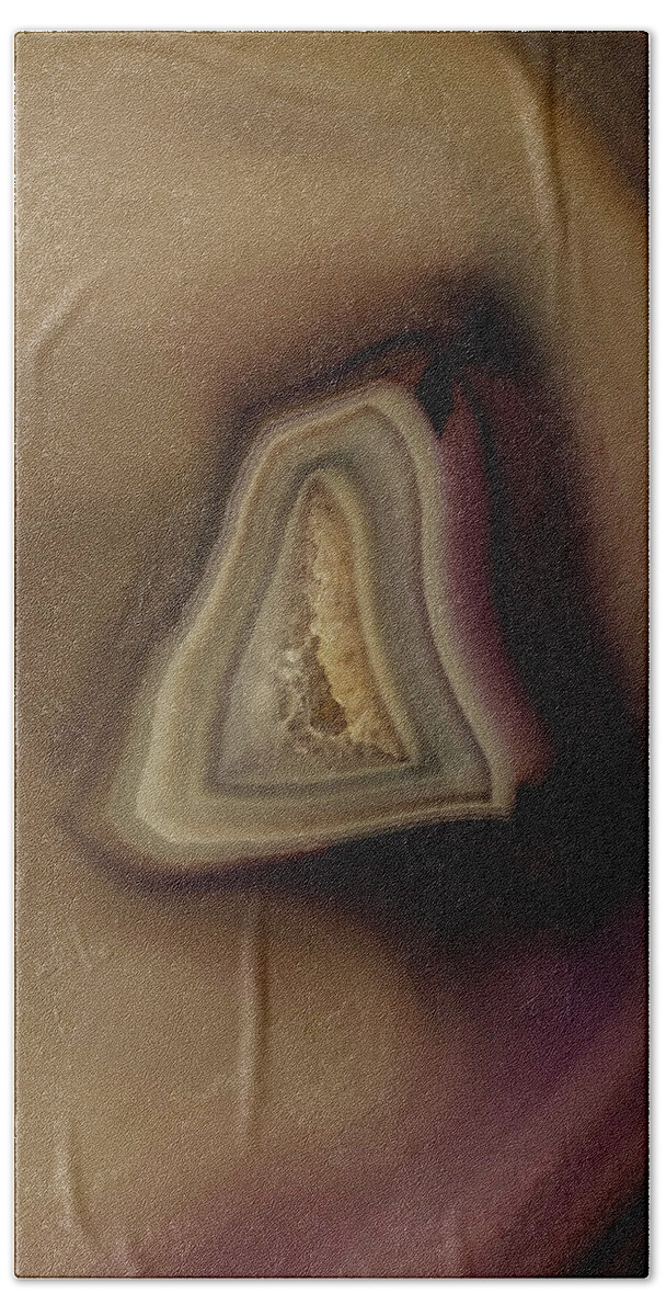 Gem Beach Towel featuring the photograph Earth Treasures - Brown Agate by Jaroslaw Blaminsky