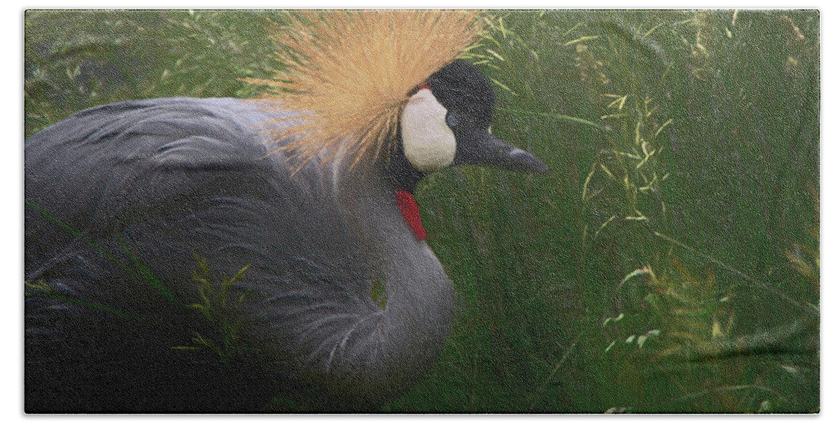 African Crowned Cranes Beach Towel featuring the digital art East African Crowned Crane DP by Ernest Echols