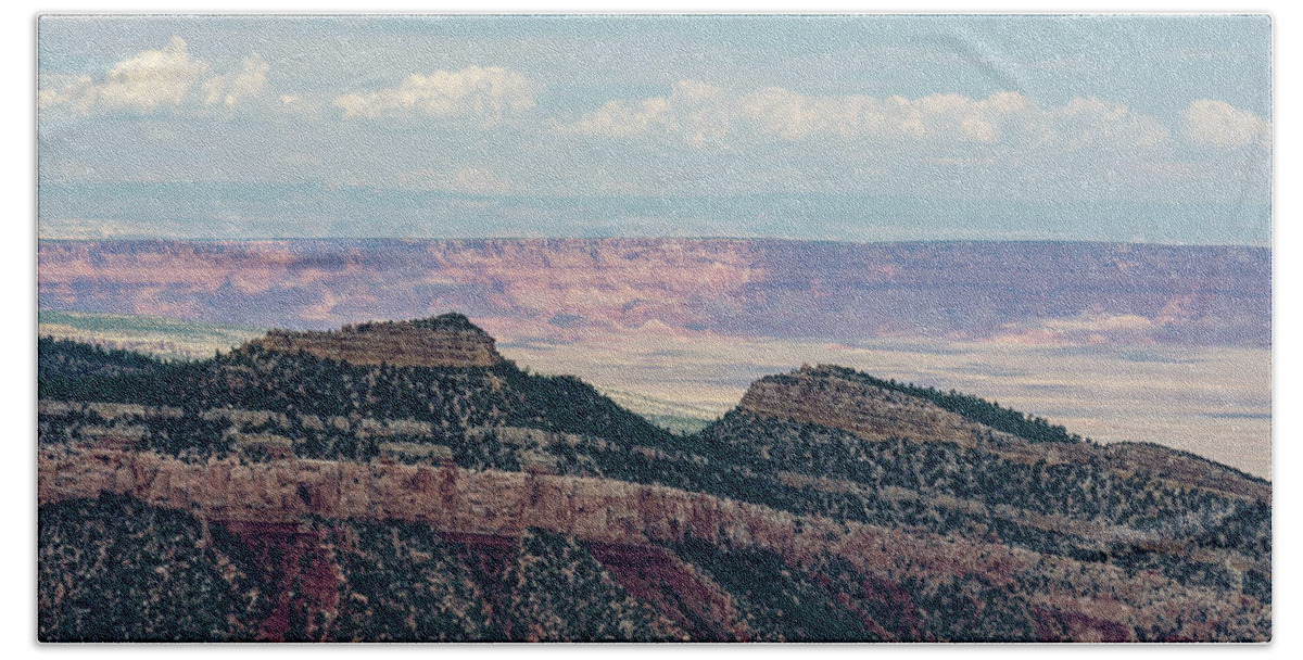Arizona Beach Towel featuring the photograph East Kaibab Monocline by Gaelyn Olmsted