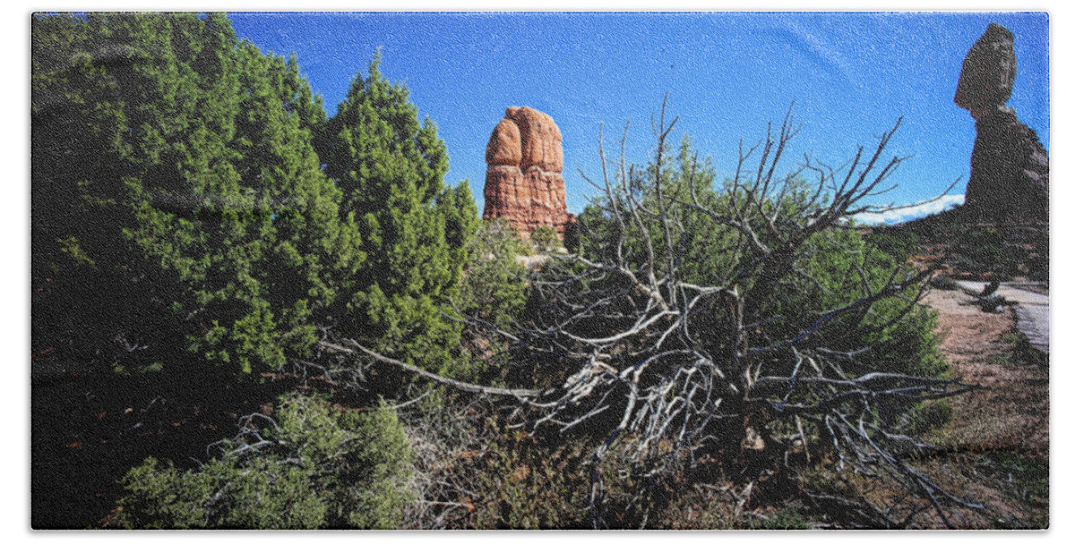 Arches National Park Beach Towel featuring the photograph Edge Of Life Arches by Lawrence Christopher