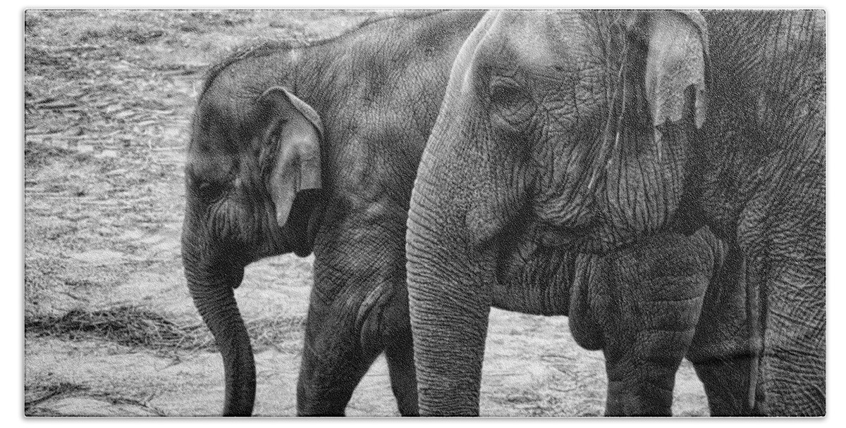 Animals Beach Sheet featuring the photograph Elephants BW by Ingrid Dendievel