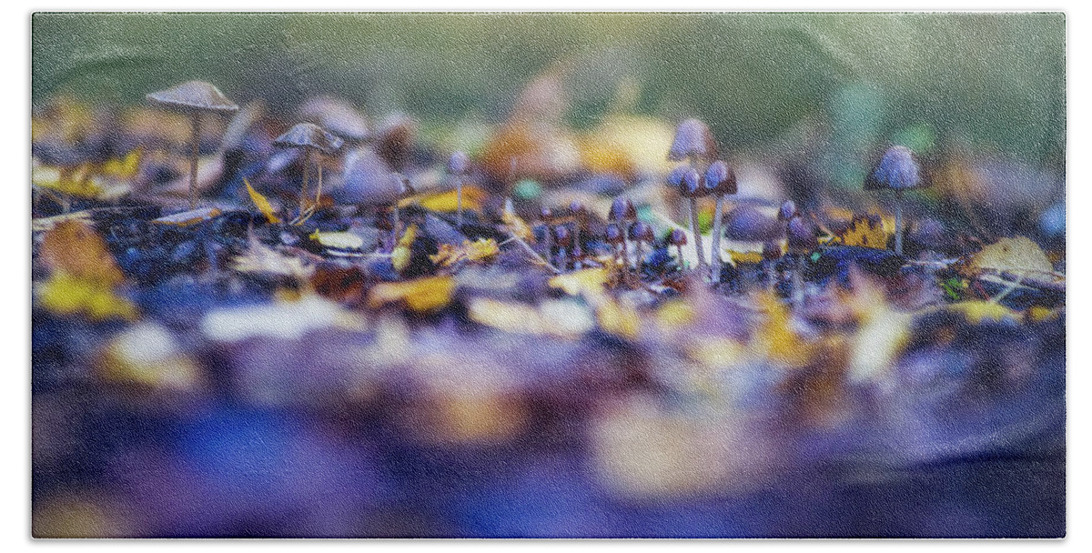 Mushroom Beach Towel featuring the photograph Elfin World by Gene Garnace