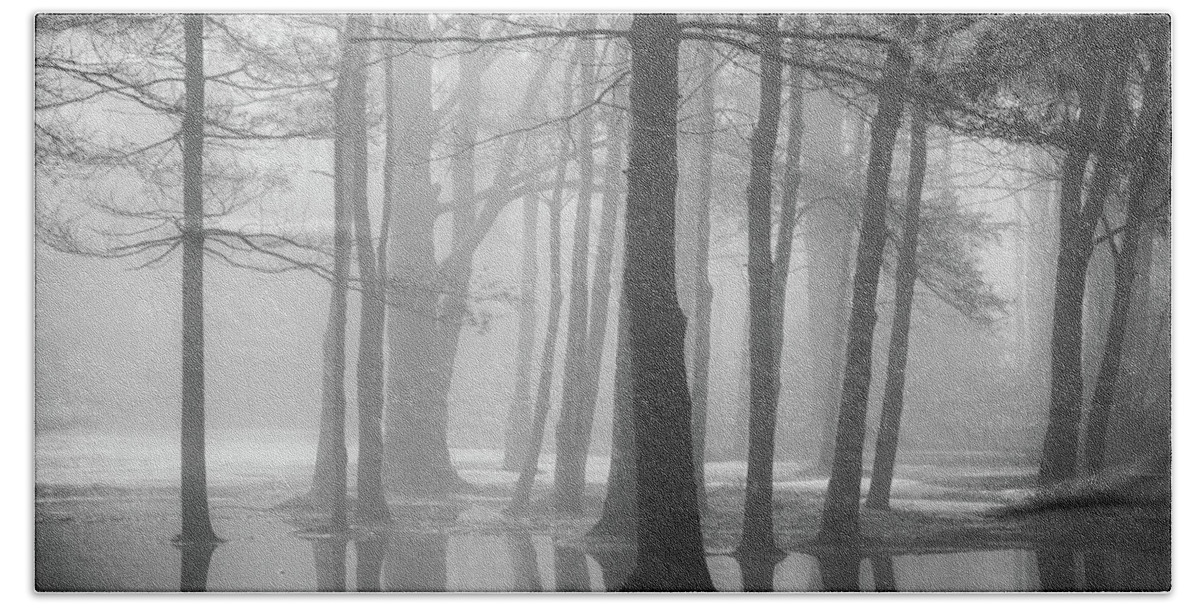 New England Beach Towel featuring the photograph Ellacoya Fog - January Thaw by Robert Clifford