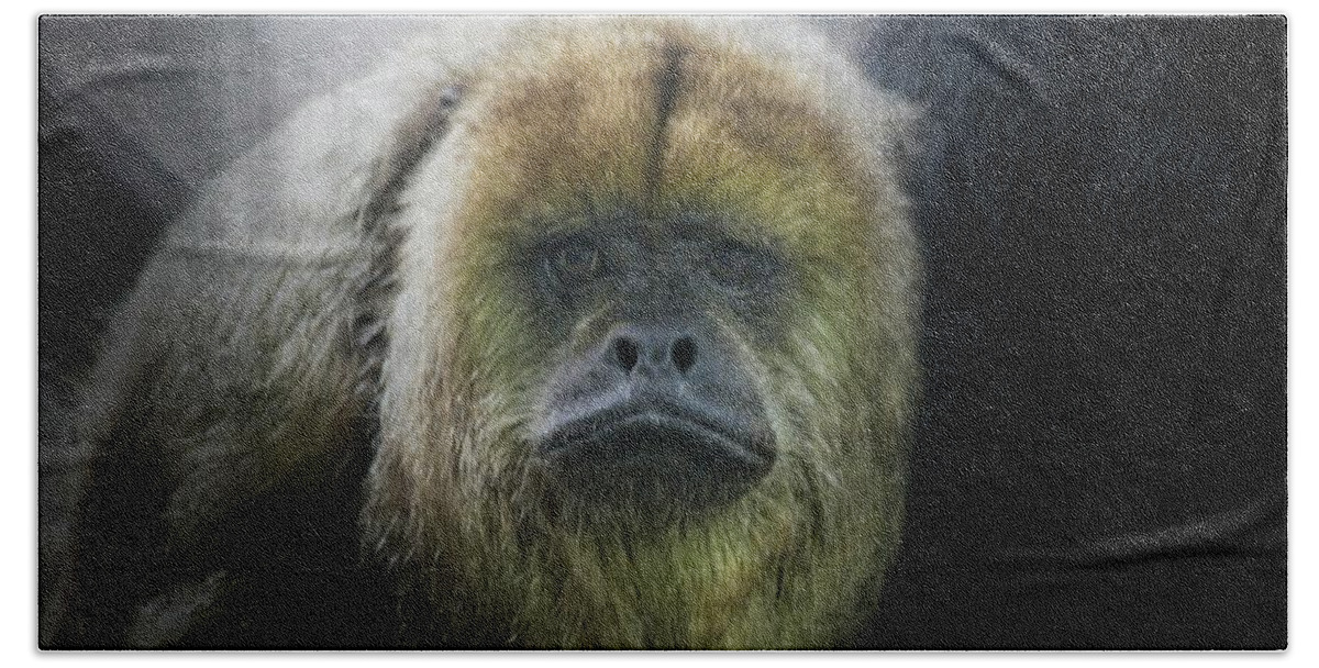 Howler Monkey Beach Towel featuring the photograph What a Face #1 by Karol Livote