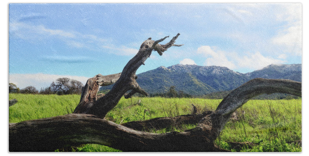 Mt. Diablo Beach Towel featuring the photograph Emulating The Past by Donna Blackhall