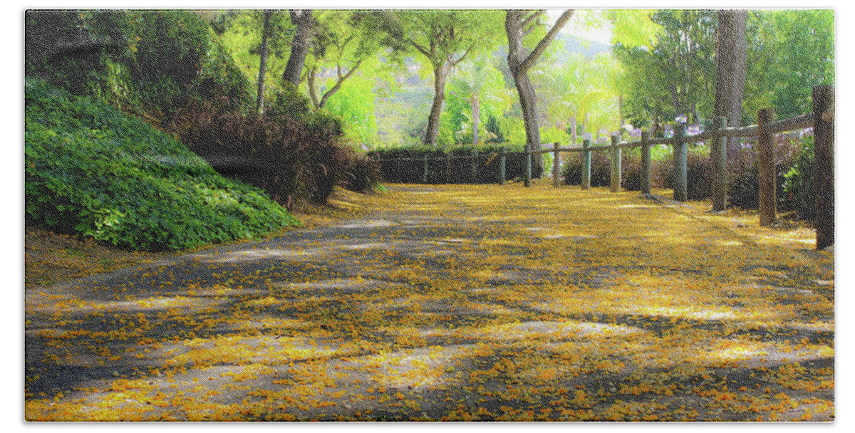 Enchanted Beach Towel featuring the photograph Enchanted Path by Alison Frank