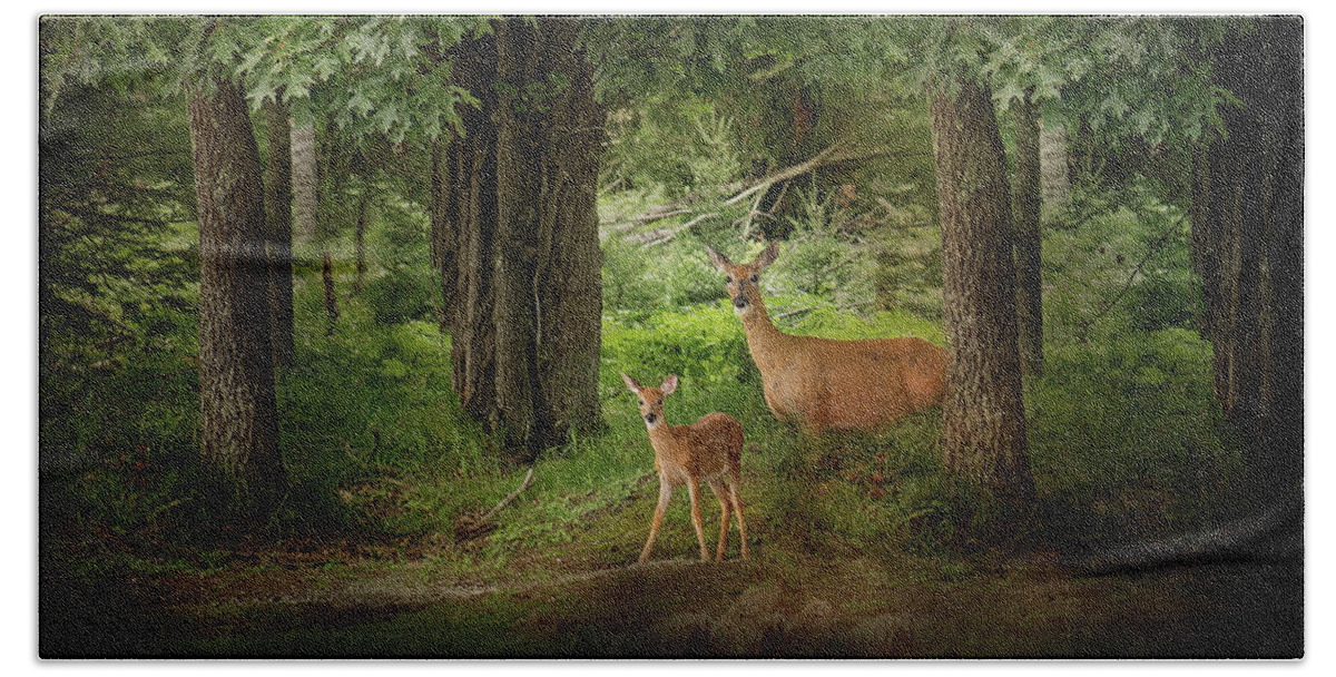 Deer Print Beach Towel featuring the photograph Enchanted Forest Deer Print by Gwen Gibson