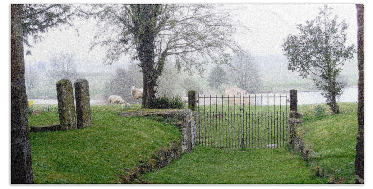 Sheep Beach Towel featuring the photograph Enter through the Gates with Singing by Mindy Newman
