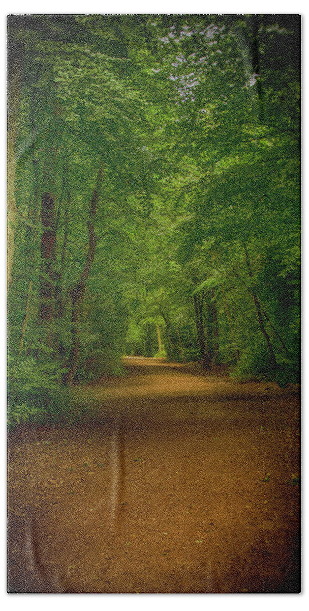 Epping Forest Beach Towel featuring the photograph Epping Forest Walk by David French