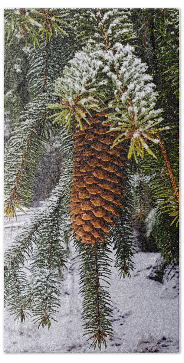 Pine Beach Towel featuring the photograph Essence of winter by Bruce Carpenter