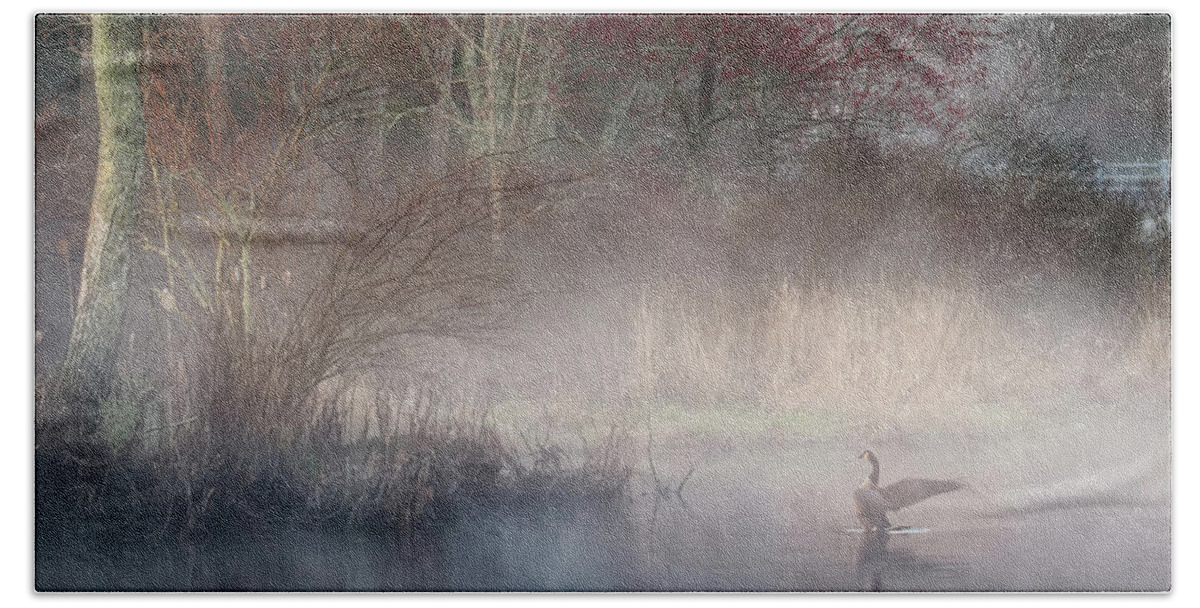 Goose Beach Towel featuring the photograph Ethereal Goose by Bill Wakeley