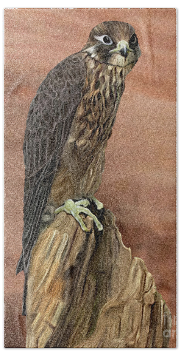 Eurasian Hobby Beach Sheet featuring the digital art Eurasian hobby Falcon by Walter Colvin
