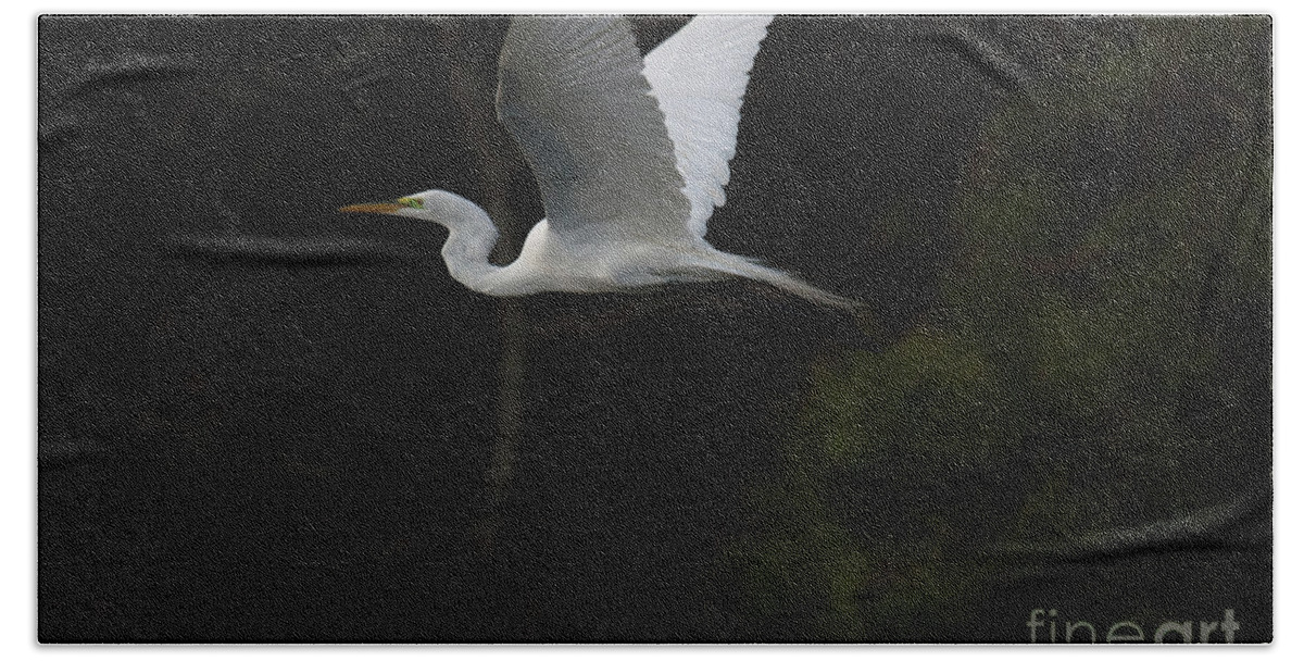 Egret Beach Towel featuring the photograph Evening Flight by Dale Powell