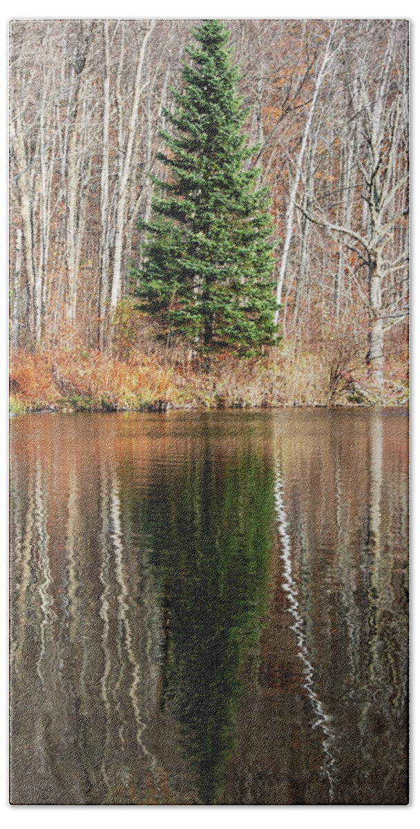 Darin Volpe Nature Beach Towel featuring the photograph Evergreen - Buck Lake, Vermont by Darin Volpe