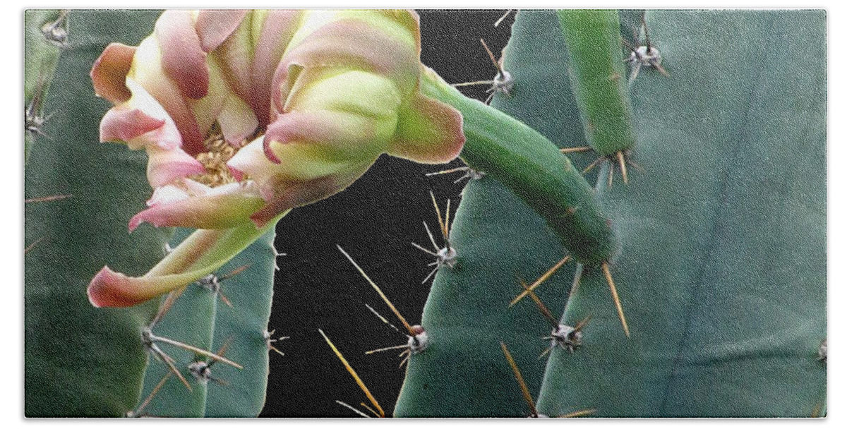 Cactus Beach Sheet featuring the photograph Every Cactus flower has it's thorns by Christopher Mercer