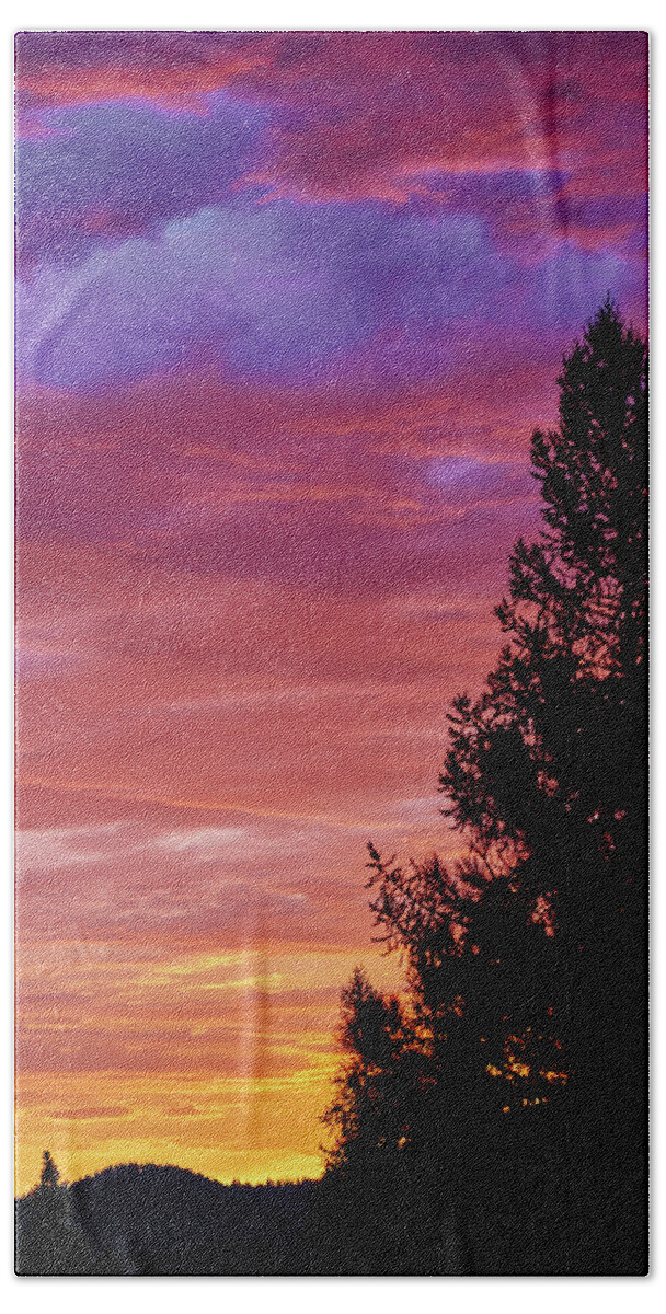 Sunrise Beach Towel featuring the photograph Exploding Color by Loni Collins