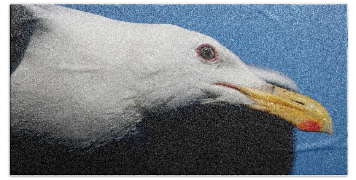 Seagull Beach Towel featuring the photograph Eye of a Seagull by Sumoflam Photography