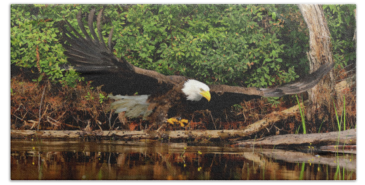 Eagle Beach Towel featuring the photograph Eye on the Fish by Duane Cross