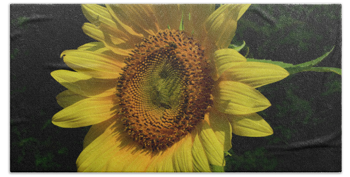 Flower Beach Towel featuring the photograph Hand Made By God by Donna Brown