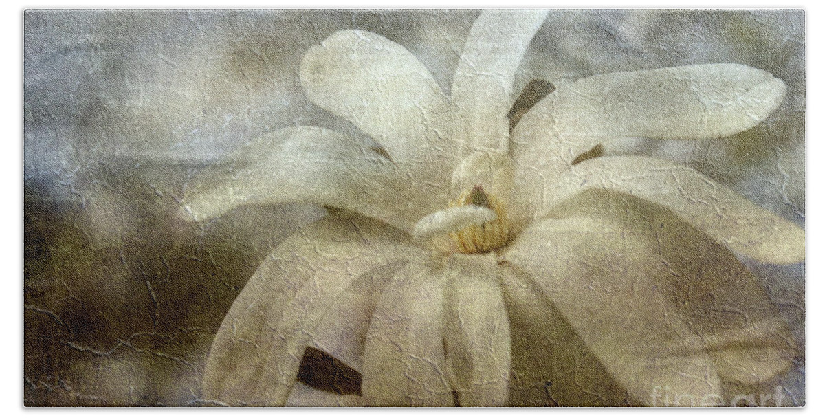 Star Magnolia Beach Sheet featuring the photograph Faded Star Magnolia by Benanne Stiens