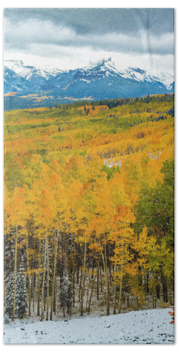 Aspen Trees Beach Sheet featuring the photograph Fall Along Ohio Pass Road by Teri Virbickis