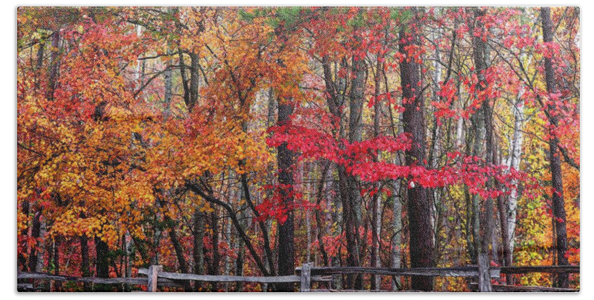 Blue Ridge Parkway Beach Towel featuring the photograph Fall And The Wood Fence by Carol Montoya