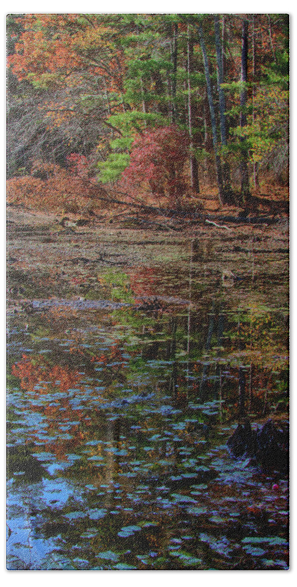 #jefffolger Beach Towel featuring the photograph fall colors abound in Harold Parker Sate Forest by Jeff Folger