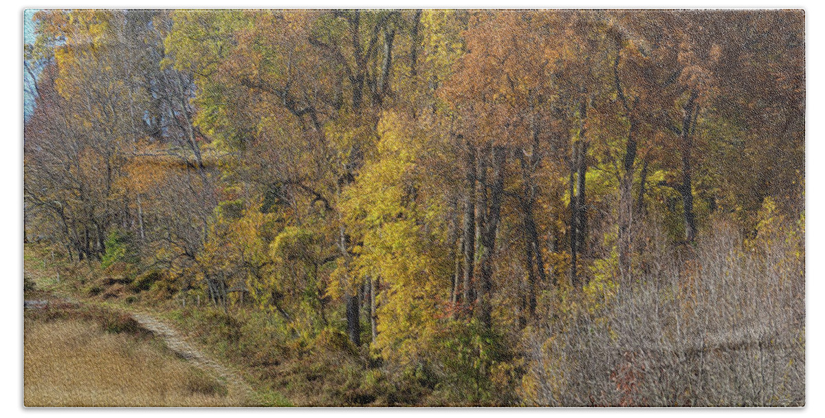 Landscape Beach Towel featuring the photograph Fall Colors as Oil by Paul Ross