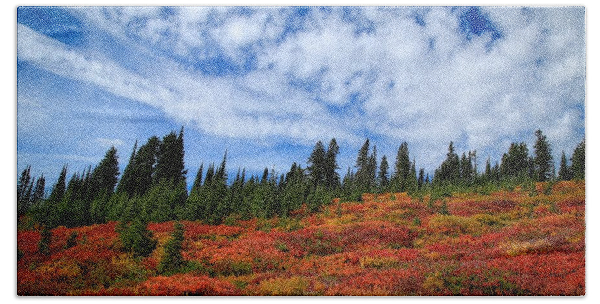 Fall Colors At Mount Rainier Beach Towel featuring the photograph Fall colors at Mount Rainier by Lynn Hopwood